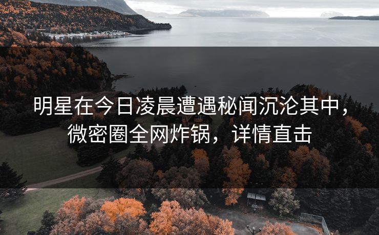 明星在今日凌晨遭遇秘闻沉沦其中，微密圈全网炸锅，详情直击
