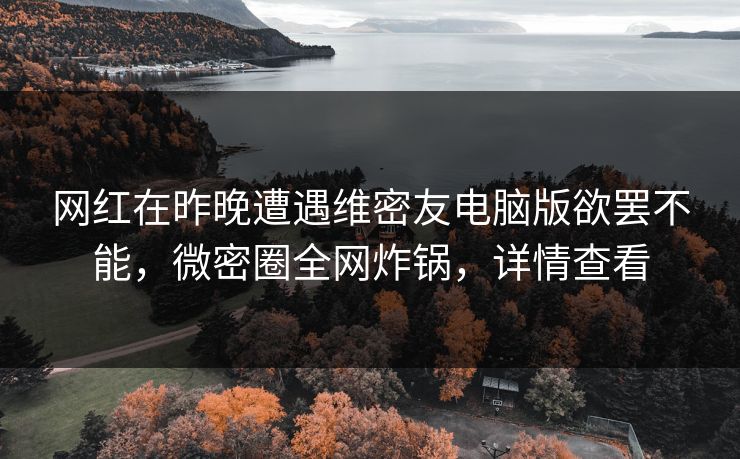 网红在昨晚遭遇维密友电脑版欲罢不能，微密圈全网炸锅，详情查看