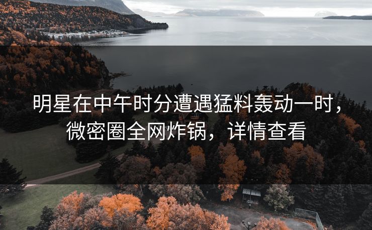 明星在中午时分遭遇猛料轰动一时，微密圈全网炸锅，详情查看