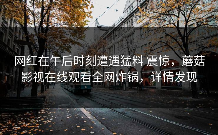 网红在午后时刻遭遇猛料 震惊，蘑菇影视在线观看全网炸锅，详情发现